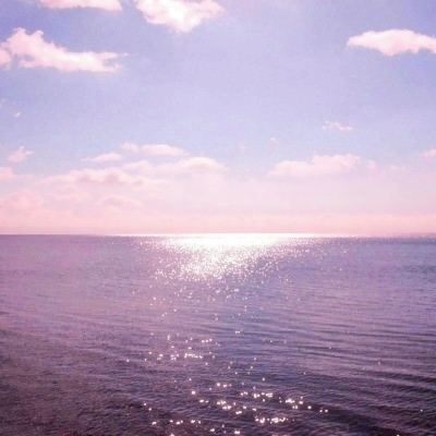 开元appapp下载截图