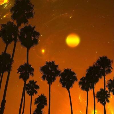 竞猜足球app手机app下载