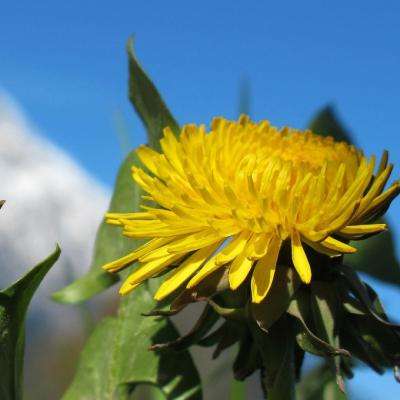 三亿体育手机app下载