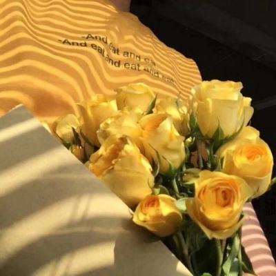 开云注册·官方网站