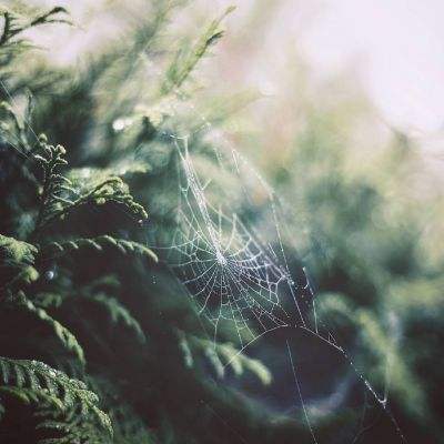 best365官网手机版下载手机版